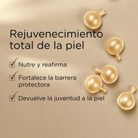 Advanced Ceramide Capsules  1ud.-160421 Advanced Ceramide Capsules  1ud.-160421 1